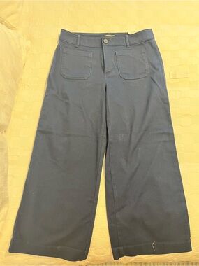 LOFT Navy Wide-Leg Jeans